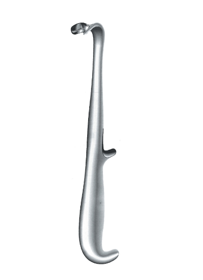 Young J-37-463